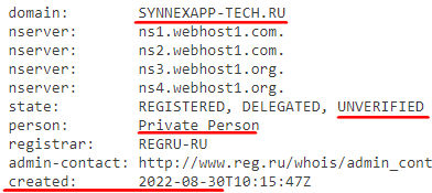 synnexapp-tech.ru